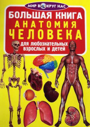Большая книга Анатомия человека | Завязкин - Мир вокруг нас - БАО - 9789669361493
