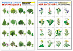 Мир растений-2 Разрезные карточки | 
 - Комплект разрезных карточек - Сфера - 9785994906873