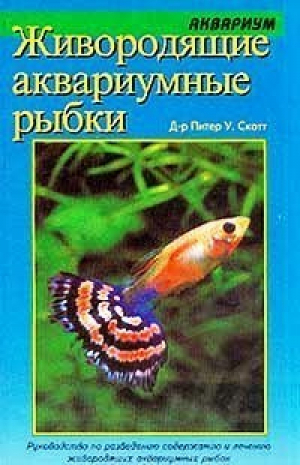 Живородящие аквариумные рыбки, Скотт