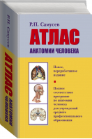 Атлас анатомии человека | Самусев - Самусев. Анатомия - АСТ - 9785171055684