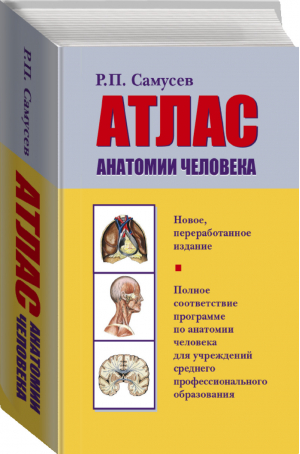 Атлас анатомии человека | Самусев - Самусев. Анатомия - АСТ - 9785171055684
