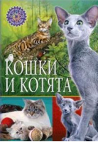 Кошки и котята - Популярная детская энциклопедия - Владис - 9785956723951
