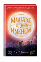 Мальчик с одним именем (#1) | Воллис - Джонс и Руби в Пустынных землях. Фэнтези для подростков - Эксмо - 9785041076832