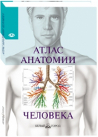 Атлас анатомии человека | Серова - Энциклопедии и словари - Белый Город - 9785779309820
