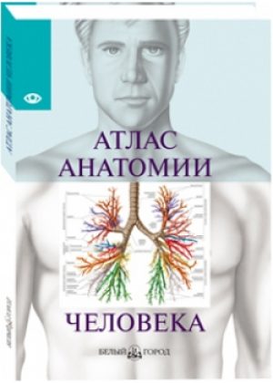 Атлас анатомии человека | Серова - Энциклопедии и словари - Белый Город - 9785779309820