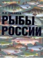 Рыбы России | Сабанеев - Рыбалка - АСТ - 9785170486243