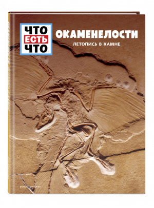 ОКАМЕНЕЛОСТИ. Летопись в камне | Баур Манфред - Что есть что - Эксмо - 9785041087104