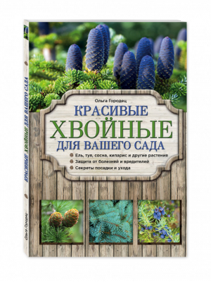 Красивые хвойные для вашего сада | Городец - Азбука садоводства - Эксмо - 9785699853311