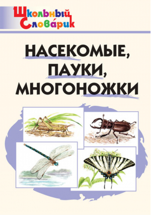 Насекомые, пауки, многоножки | Сергеева - Школьный словарик - Вако - 9785408039937