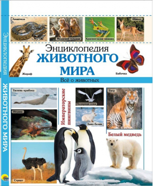 Энциклопедия животного мира | Соколова - Энциклопедии - Проф-Пресс - 9785378270323
