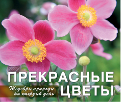 Прекрасные цветы Шедевры природы на каждый день | Фомина - Календари на пружине - Эксмо - 9785699604456