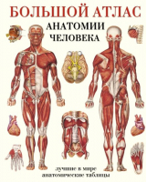 Большой атлас анатомии человека - Лучшие в мире анатомический таблицы - АСТ - 9785170418060