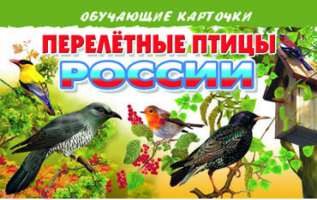 Перелетные птицы России Обучающие карточки | Глушкова - Обучающие карточки - Литур - 9785978009446