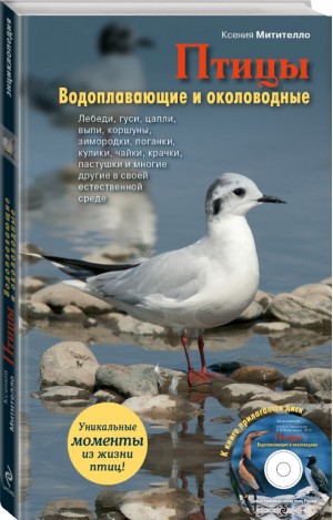 Птицы Водоплавающие и околоводные +CD | Митителло - Живой мир нашей планеты - Эксмо - 9785699573875