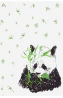 Блокнот "Панда и бамбук" - Блокноты - Шанс - 9785907173651