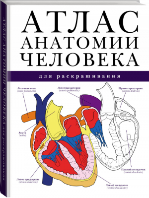 Атлас анатомии человека для раскрашивания | Абрахамс - Атлас человека: профессионально-популярное издание - АСТ - 9785170954728