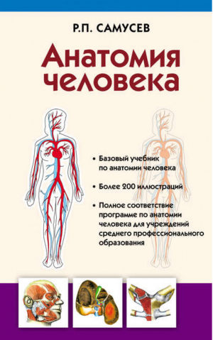Анатомия человека Учебник для студентов учреждений среднего профессионального образования | Самусев - Анатомия человека - АСТ - 9785170873135