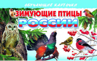 Зимующие птицы России Обучающие карточки | Глушкова - Обучающие карточки - Литур - 9785978009439