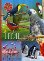 Птицы | Феданова и др. - Популярная детская энциклопедия - Владис - 9785956723975