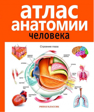 Атлас анатомии человека | 
 - Рипол Классик - 9785386049195