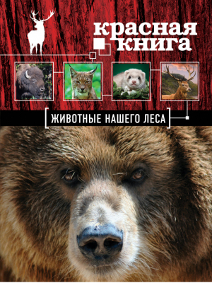 Красная книга Животные нашего леса | Очеретний - Красная книга для больших и маленьких - Эксмо - 9785699662050