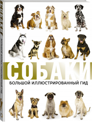 Собаки Большой иллюстрированный гид | Барановская - Большой иллюстрированный гид - АСТ - 9785171099701