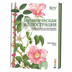 Ботаническая иллюстрация Руководство по рисованию от Королевских ботанических садов Кью | Кинг - Craftclub - Контэнт - 9785919068099