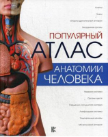 Популярный атлас анатомии человека | Палычева - Атлас человека: профессионально-популярное издание - АСТ - 9785171052973