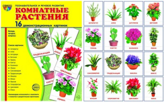 Комнатные растения 16 демонстрационных картинок с текстом | 
 - Сфера картинок - Сфера - 9785994911563
