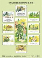 Как лесник заботится о лесе | Николаева - Плакаты 50х69 - Мозаика-Синтез - 9785431506376