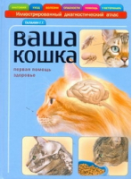 Ваша кошка | Галанин - Иллюстрированный диагностический атлас - Астрель - 9785271346859