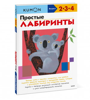 Простые лабиринты (переупаковка для ДМ) - 9785001955832