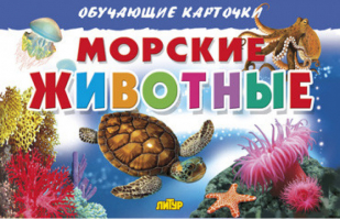 Морские животные Обучающие карточки | Богуславская - Обучающие карточки - Литур - 9785978008616
