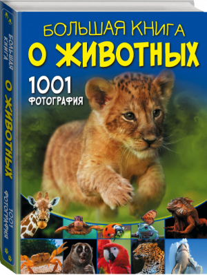 Большая книга о животных 1001 фотография | Ермакович - Большая книга обо всём - Аванта - 9785171147334