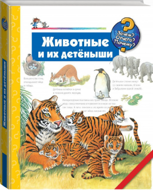 Животные и их детёныши | Рюбель - Зачем? Отчего? Почему? - АСТ - 9785802930779