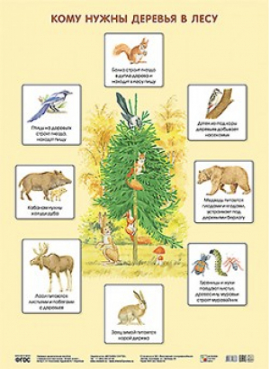 Кому нужны деревья в лесу | Николаева - Плакаты 50x69 - Мозаика-Синтез - 9785431506383