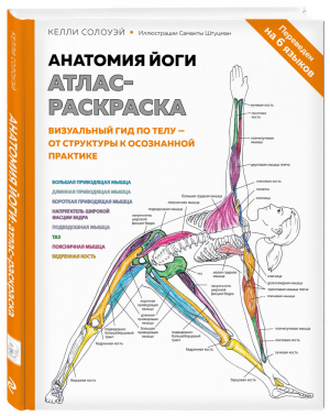 Анатомия йоги Атлас-раскраска Визуальный гид по телу — от структуры к осознанной практике | Солоуэй - Медицинский атлас - Эксмо - 9785041098834