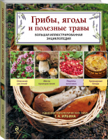 Грибы, ягоды и полезные травы | Ильина - Грибы - Эксмо - 9785699559152