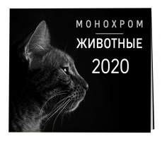Монохром Животные Календарь настенный на 2020 год (300х300 мм) - Календари настенные 2020 - Эксмо - 9785041026967