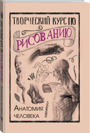 Творческий курс по рисованию Анатомия человека | Грей - СкетчКурс по рисованию - АСТ - 9785171168391