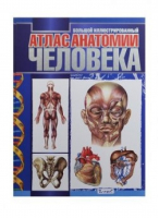 Большой иллюстрированный атлас анатомии человека | Феррон - Владис - 9785956719718