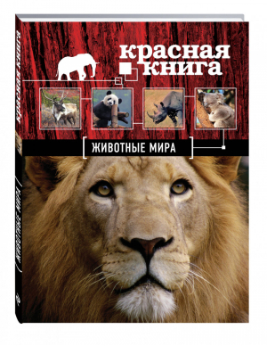 Красная книга Животные мира | Скалдина - Красная книга для больших и маленьких - Эксмо - 9785699712120