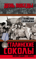 Сталинские соколы Возмездие с небес | Сапрыкин - День Победы - Алгоритм - 9785443810423