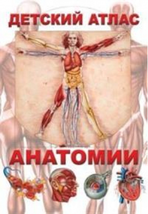 Детский атлас анатомии | Гуиди - Владис - 9785956718506