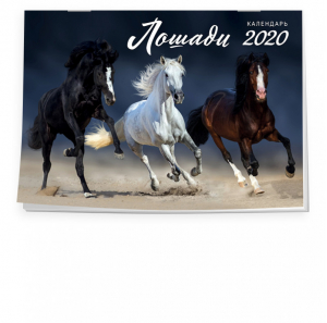 Лошади Календарь настенный на 2020 год (315х440 мм) - Эксмо - 9785041027612