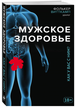 Мужское здоровье Как у вас с ним? | Витткамп - ТелОвидение. Внутрь тела без скальпеля и рентгена - Эксмо - 9785699977802