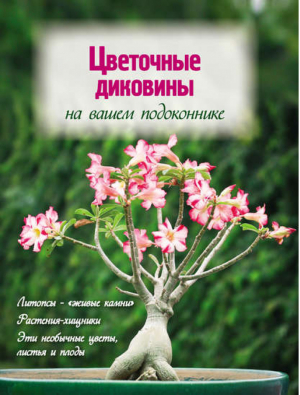 Цветочные диковины на вашем подоконнике | Волкова - Цветы в саду и на окне - Эксмо - 9785699571291