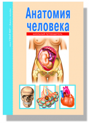 Анатомия человека Школьный путеводитель | Афонькин - Узнай мир - Тимошка - 9785912330049