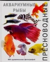 Пресноводные аквариумные рыбы 800 удивительных фотографий | Роджерс - Мир аквариума - Аквариум - 5984354519