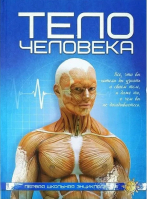 Тело человека - Первая школьная энциклопедия - Веско - 9789663416311